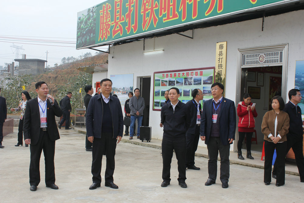  ͼƬΪίǽίǻƶǰͬ£Աι˴רҵ硣