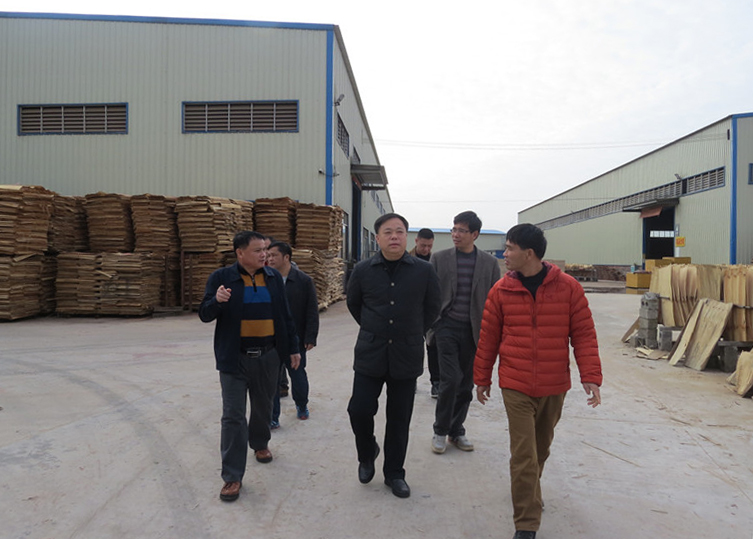 图为周炎坤(前排中间)在藤县鸿发木业有限公司调研
